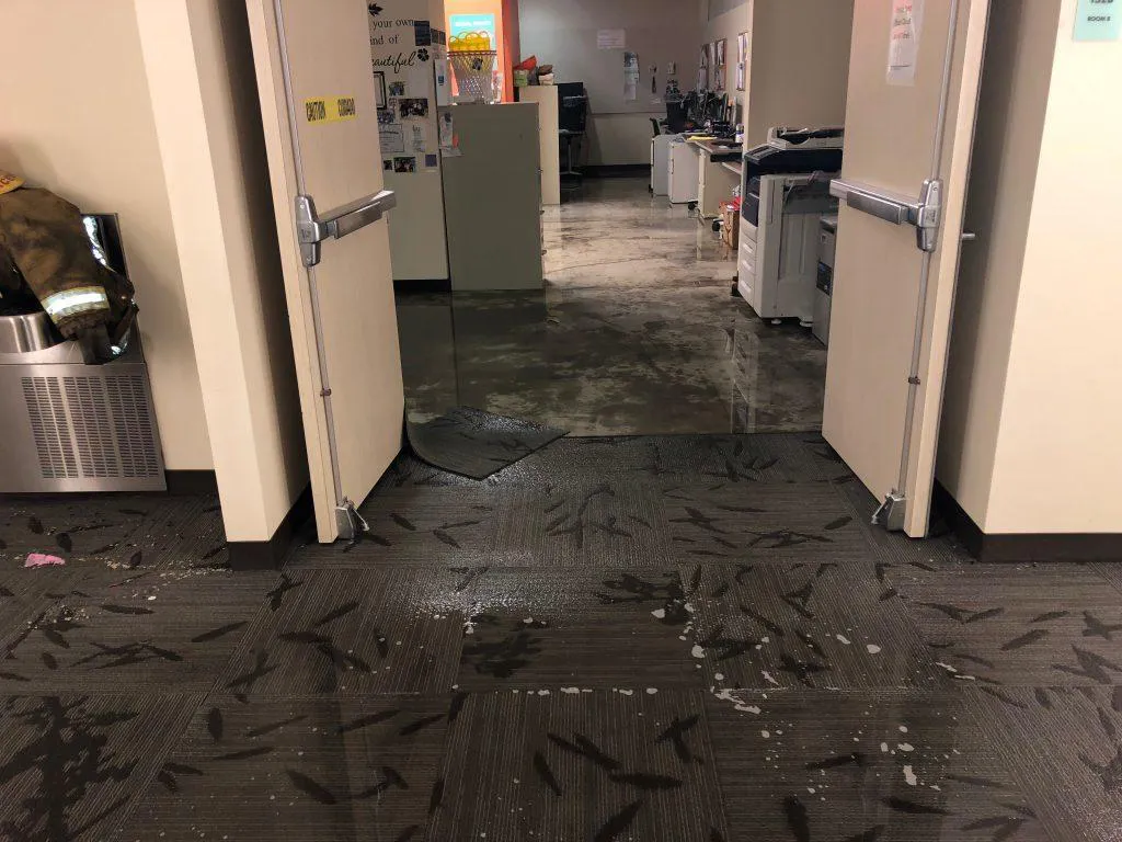 Flooded commercial corridor with saturated carpet tiles after a water damage event