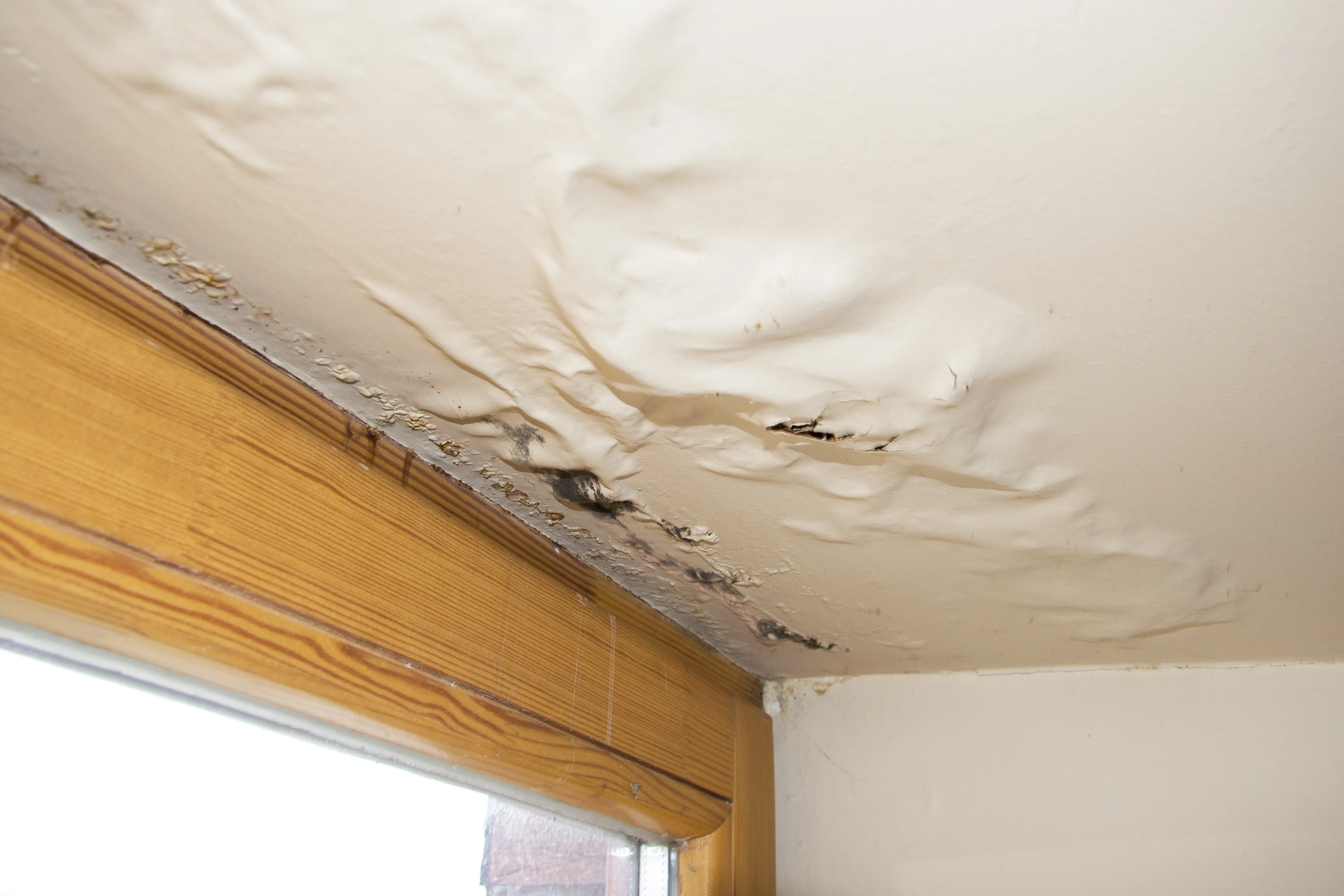 Water-stained and sagging ceiling drywall from a roof leak